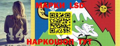 индика Кулебаки