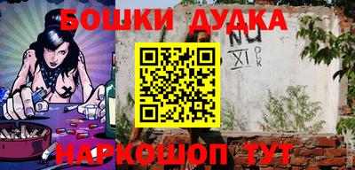 индика Кулебаки