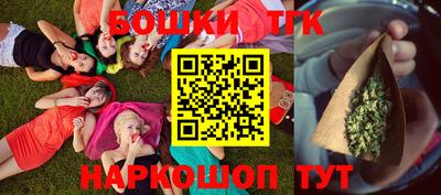 индика Кулебаки